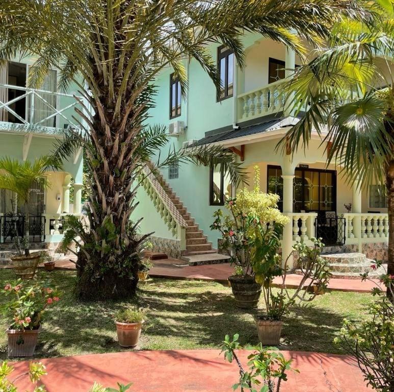 Palm Self Catering